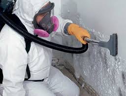 Mold Remediation for Rental Properties in Park Hills, MO